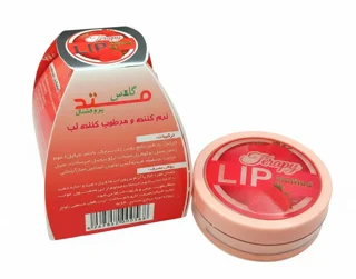 بالم لب متد
